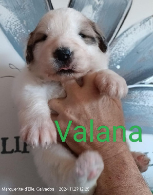 Valana