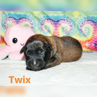 Twix