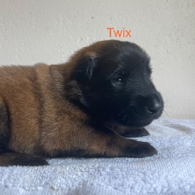 Twix