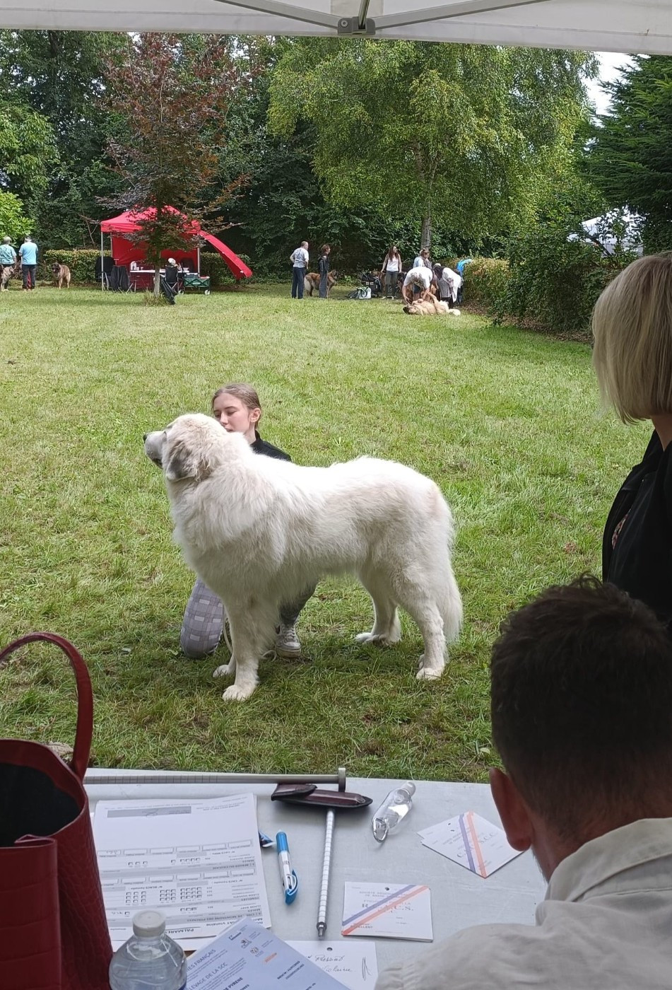 T belle du Val de Pyrène