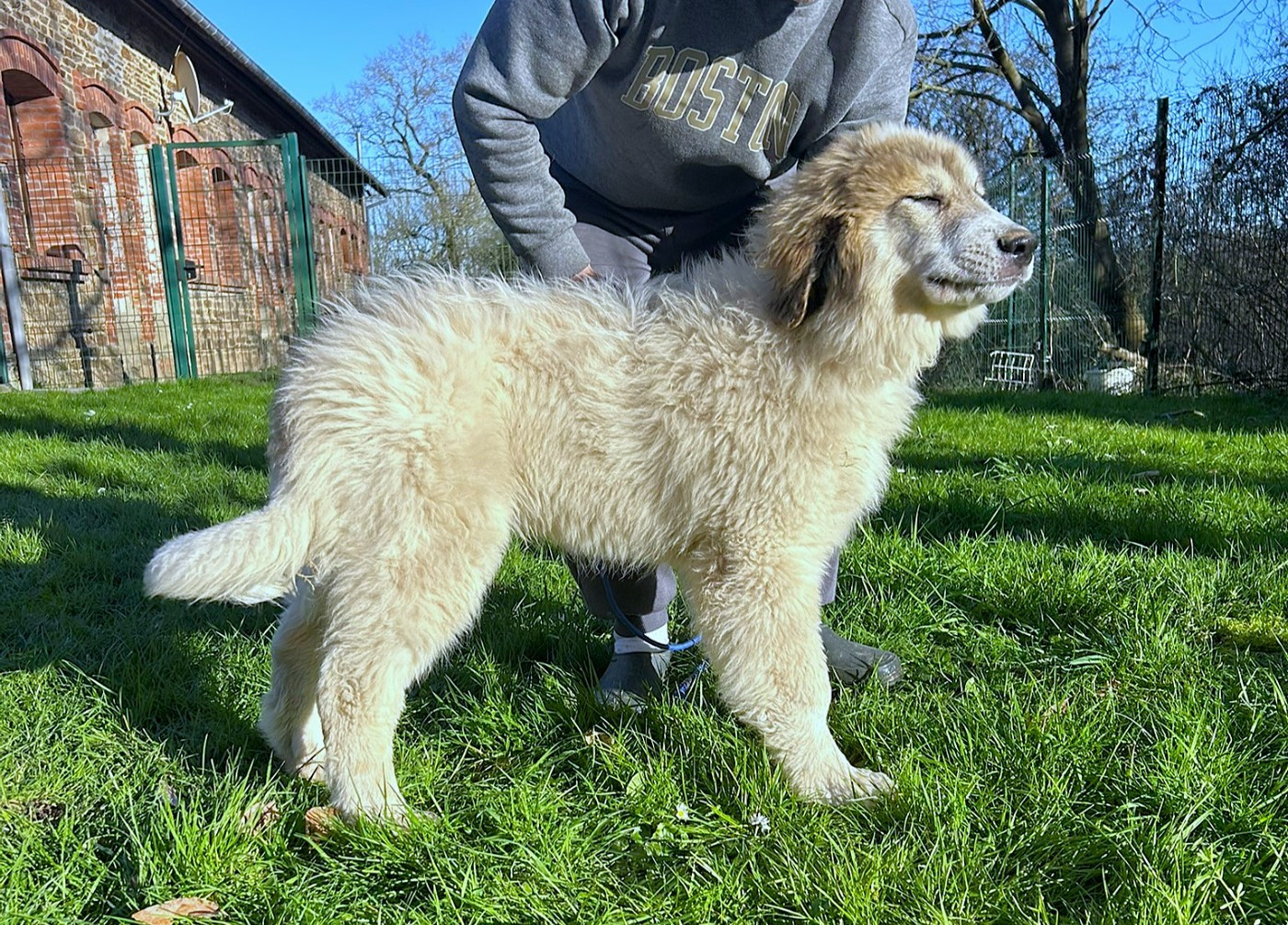 Aragon du Val de Pyrène